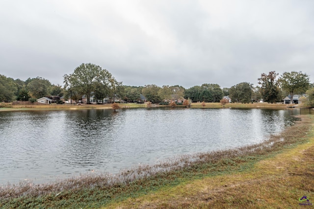 105 Dove Stone Ct, Bonaire, GA 31005 - water view