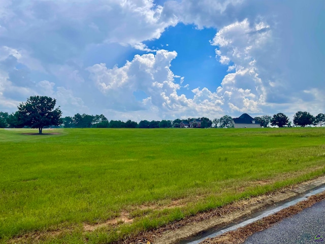 LOT44 Crabapple Dr, Hawkinsville GA, 31036 land for sale