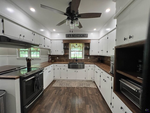 kitchen featuring ceiling fan, dark hardwood / wood-style flooring, sink, electric range oven, and backsplash