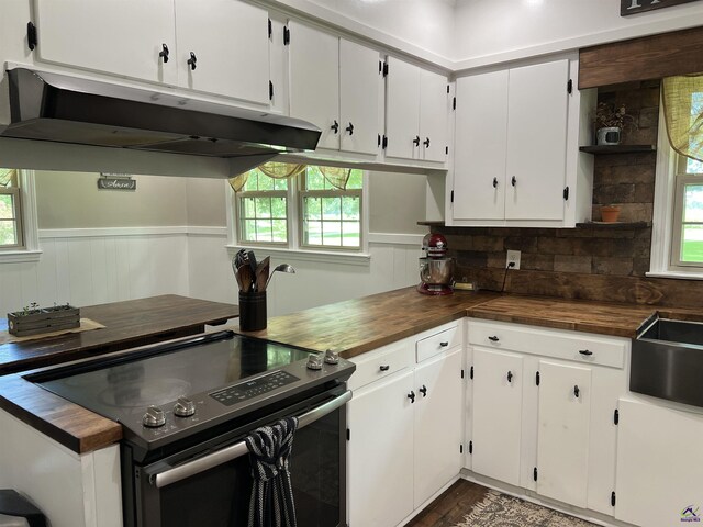 kitchen featuring stainless steel electric range, wood counters, a wealth of natural light, and tasteful backsplash