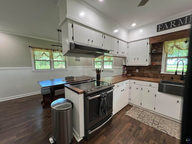 kitchen featuring plenty of natural light, electric range, and dark hardwood / wood-style flooring