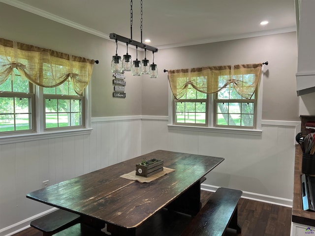 dining room featuring ornamental molding and dark hardwood / wood-style floors