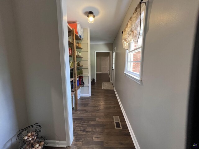 corridor featuring dark wood-type flooring