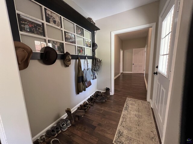 mudroom featuring dark hardwood / wood-style floors