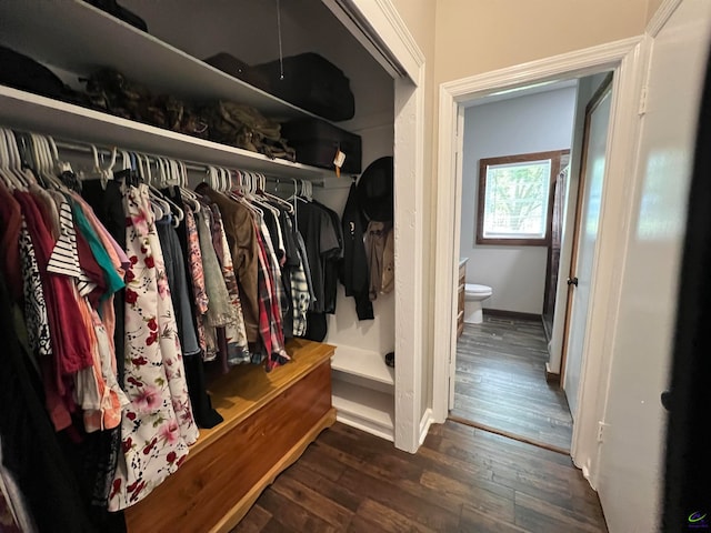 walk in closet with hardwood / wood-style flooring