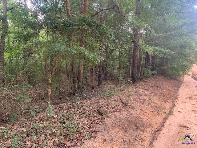 0 Bickley Rd, Butler GA, 31006 land for sale