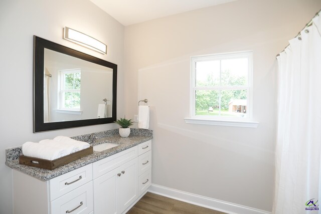 bathroom featuring vanity, hardwood / wood-style flooring, and a healthy amount of sunlight