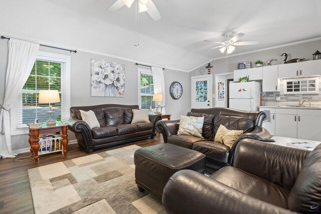 living room with sink, ceiling fan, wood-type flooring, and a wealth of natural light