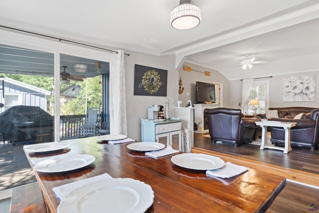 dining room with dark hardwood / wood-style flooring, a wealth of natural light, and ceiling fan