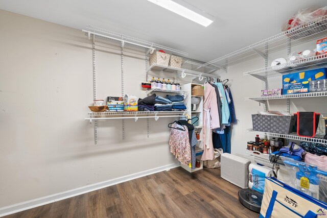 walk in closet with dark hardwood / wood-style floors