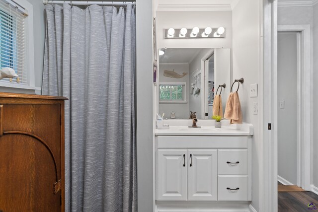 bathroom with vanity, wood-type flooring, and ornamental molding