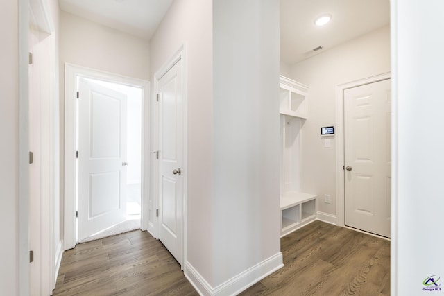 mudroom featuring dark hardwood / wood-style floors