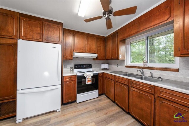 kitchen with ornamental molding, white dishwasher, ceiling fan, and dark hardwood / wood-style floors