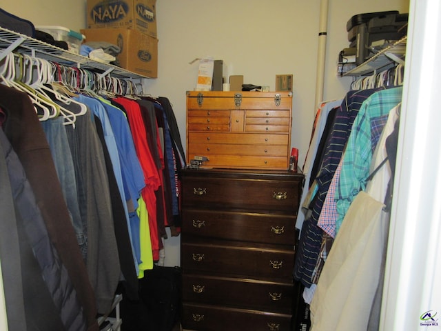 view of walk in closet