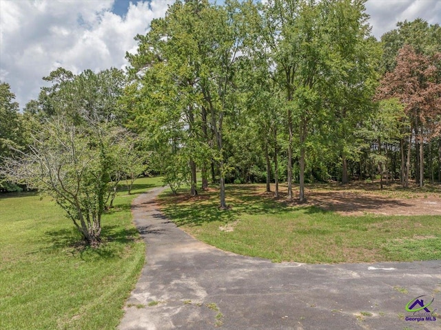 view of community with a lawn