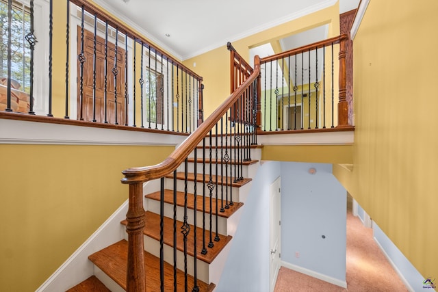 staircase with crown molding and carpet flooring