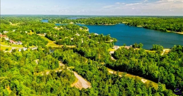 2294 Lake Helen Ct, Lizella GA, 31052 land for sale