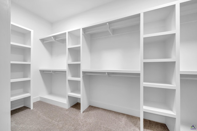 285 Lakeview Dr, Macon, GA 31211 - spacious closet featuring carpet