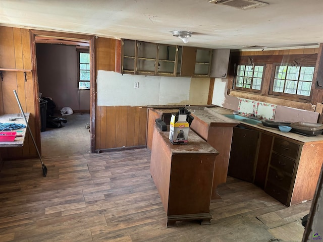 kitchen featuring wooden walls and dark hardwood / wood-style floors