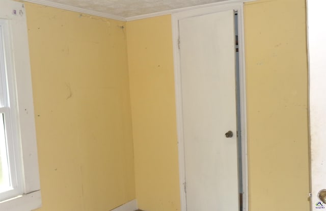 laundry area with ornamental molding