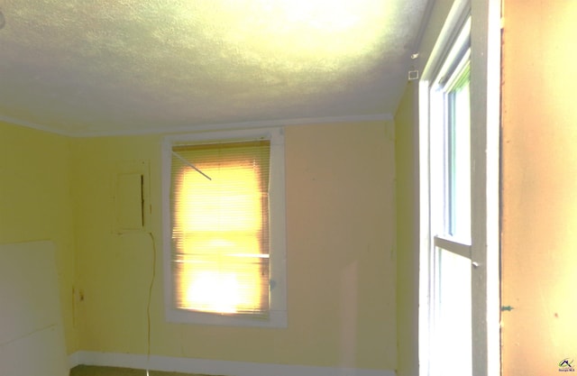 details with a textured ceiling