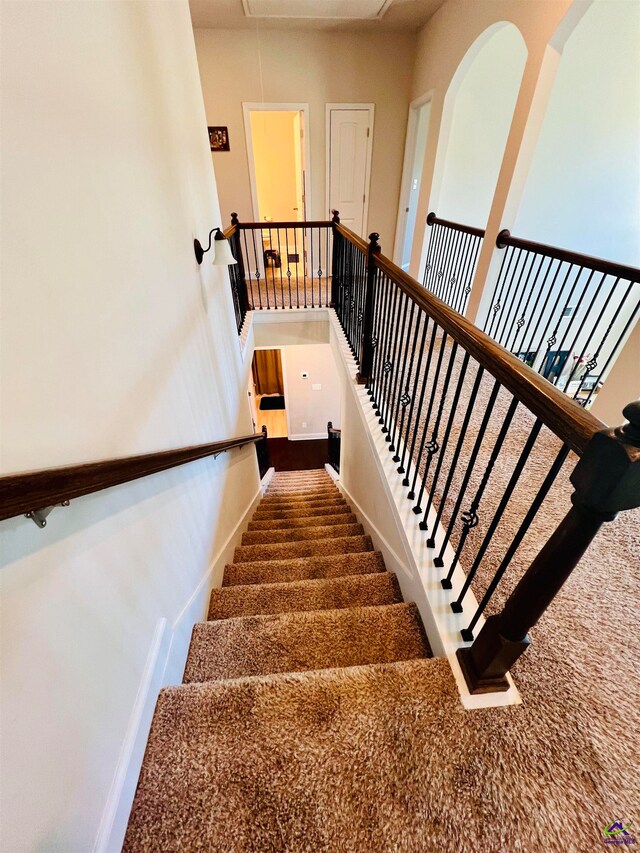 stairway featuring carpet flooring