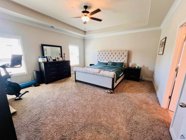 bedroom with carpet, a tray ceiling, and ceiling fan