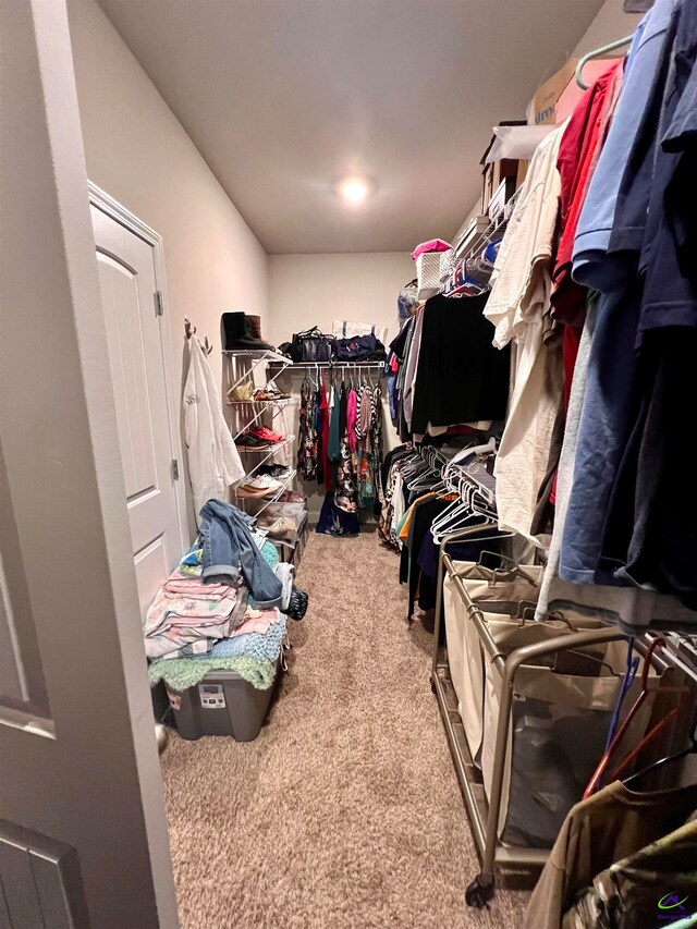 walk in closet featuring carpet