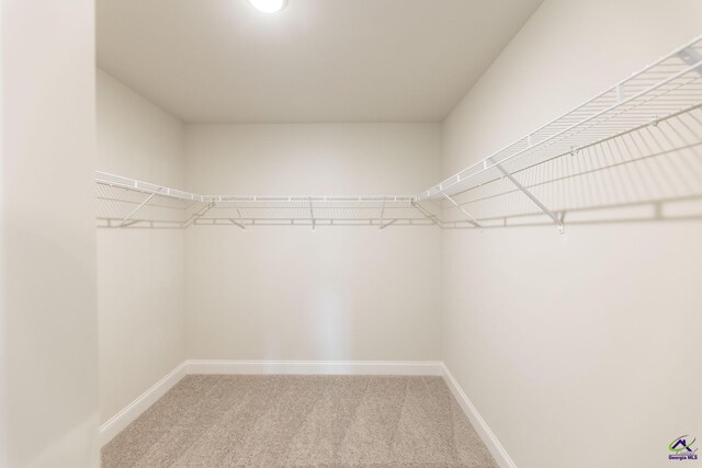 202 Bella Notte Cir, Warner Robins, GA 31088 - spacious closet with light colored carpet