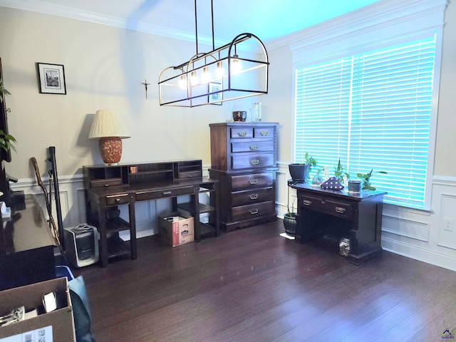 office featuring dark wood-type flooring and crown molding