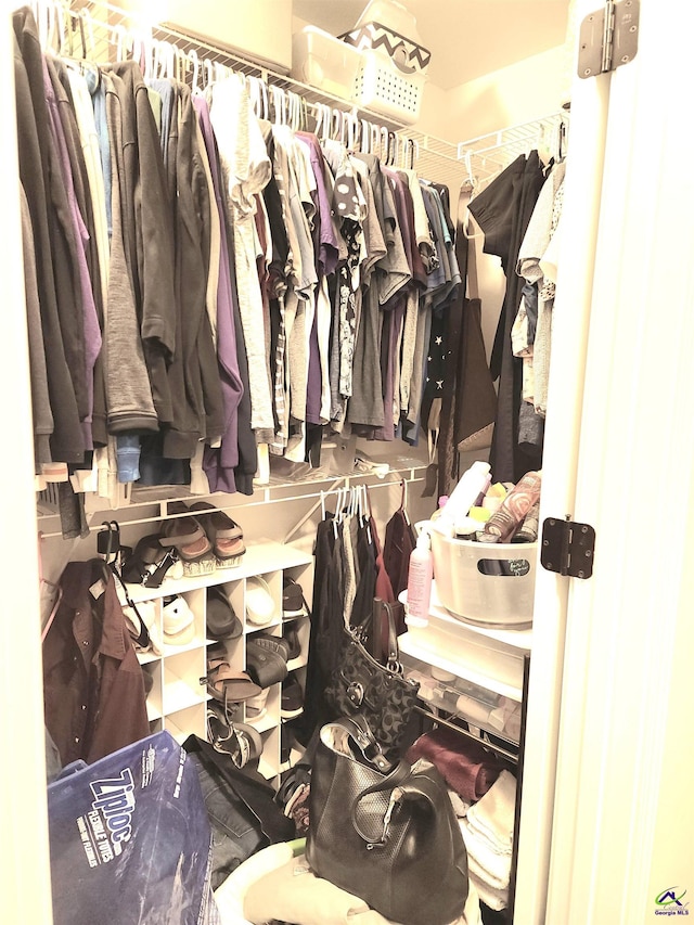 view of walk in closet