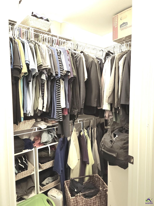 view of spacious closet