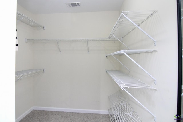 spacious closet with carpet flooring