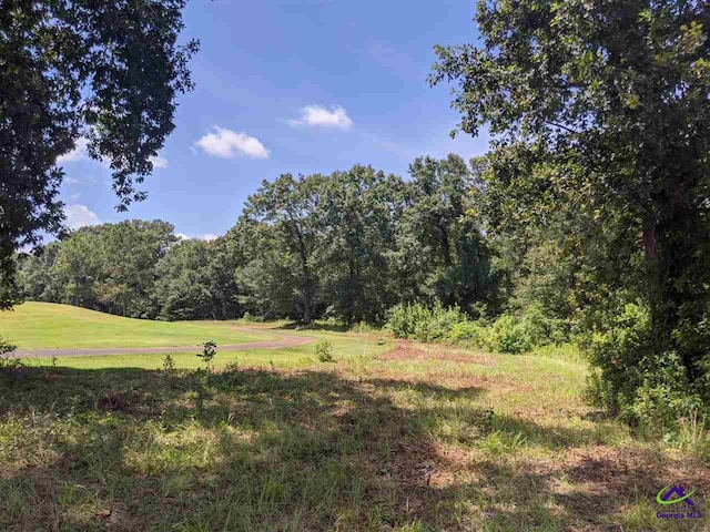 Crabapple Dr, Hawkinsville, GA 31036