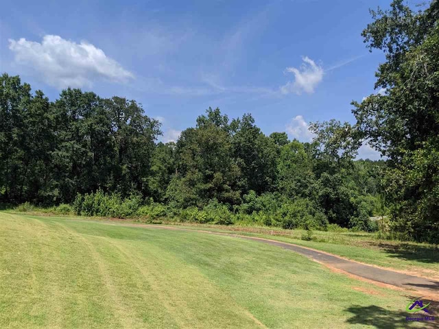 Crabapple Dr, Hawkinsville, GA 31036