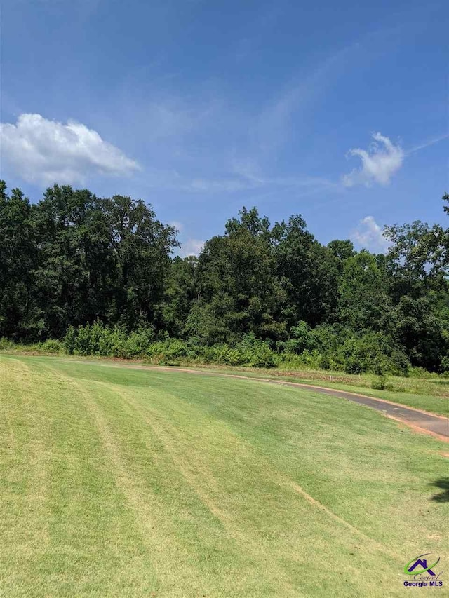 Crabapple Dr, Hawkinsville, GA 31036