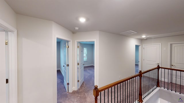 hallway featuring carpet flooring