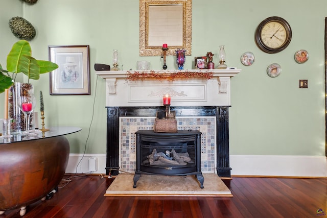 details featuring hardwood / wood-style flooring and a fireplace