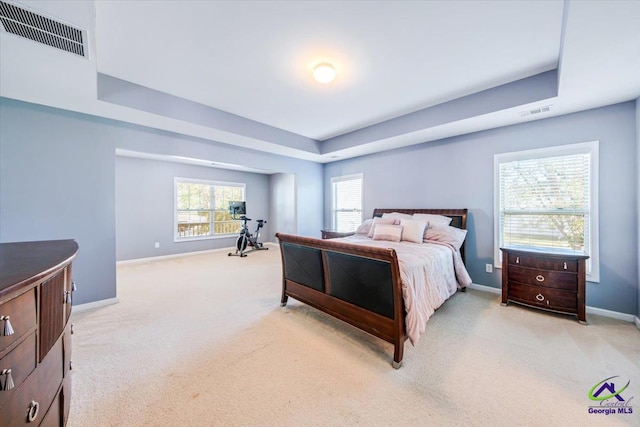 carpeted bedroom with a raised ceiling