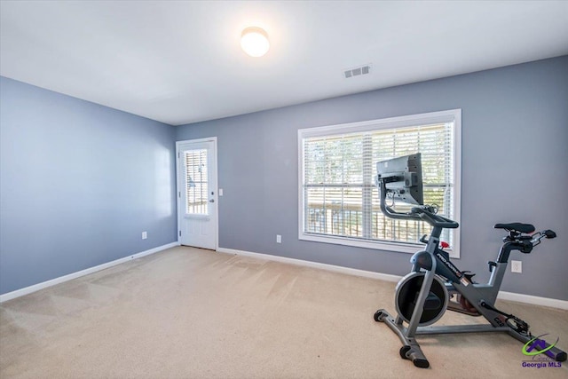 workout room featuring light carpet and a healthy amount of sunlight