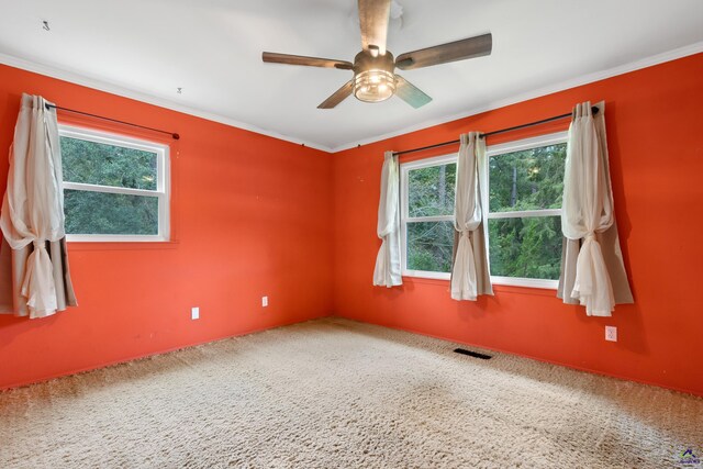 spare room with carpet floors, a healthy amount of sunlight, and ceiling fan