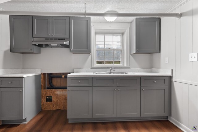 kitchen with sink, wood walls, dark wood-type flooring, and gray cabinetry