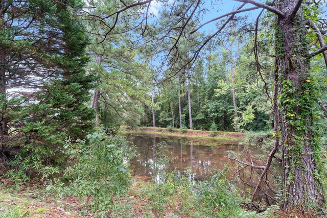 view of landscape featuring a water view