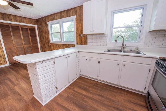 kitchen featuring dark hardwood / wood-style floors, decorative backsplash, sink, and white cabinets