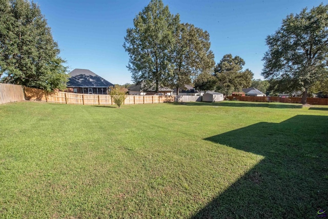 view of yard featuring a shed