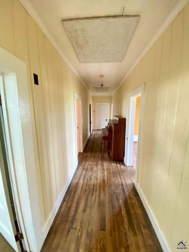 hallway with ornamental molding and dark hardwood / wood-style flooring