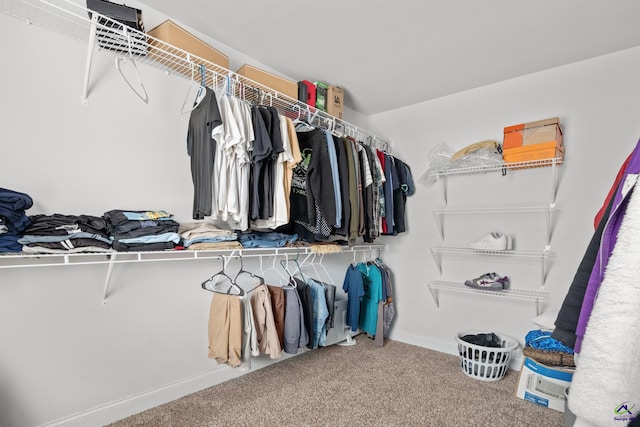 spacious closet with carpet