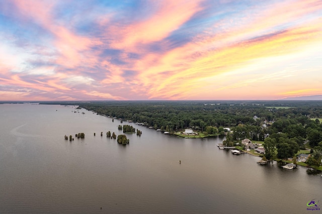 property view of water