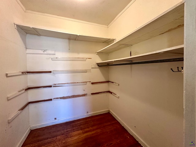 walk in closet with dark wood-type flooring