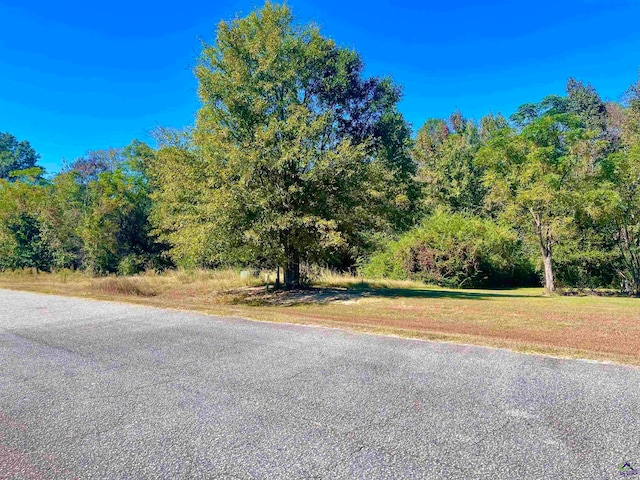 61 Aberdeen Cir, Cordele GA, 31015 land for sale